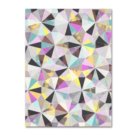 Laurence Lavallee 'Diamond' Canvas Art,14x19